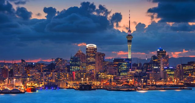 Professional in New Zealand